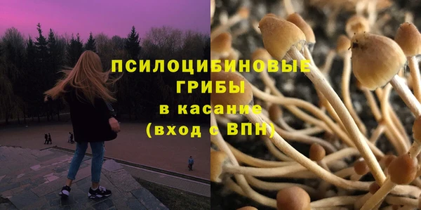 ПСИЛОЦИБИНОВЫЕ ГРИБЫ Абаза