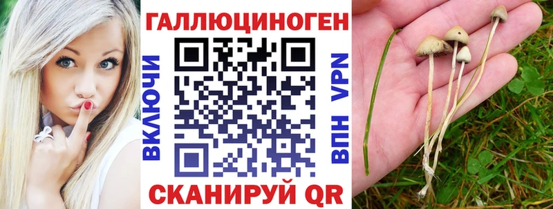 Галлюциногенные грибы ЛСД KRAKEN ссылка Новосиль